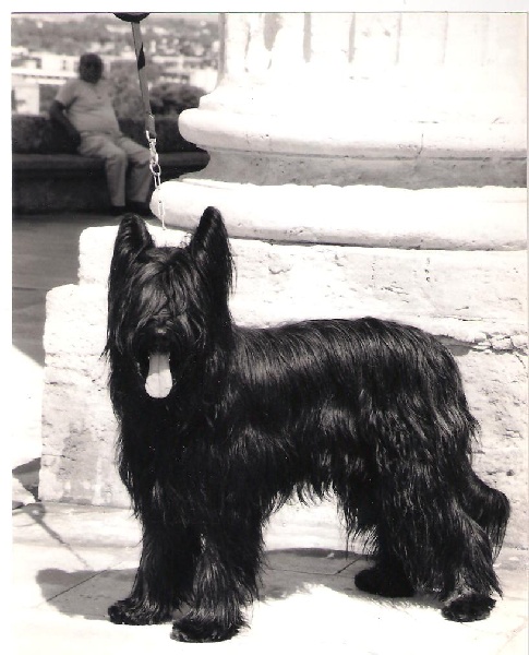 Vatson de la roseniére